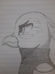 Size: 3000x4000 | Tagged: safe, artist:mustaphatr, imported from derpibooru, oc, oc only, oc:iovinius eyrie, griffon, equestria at war mod, armor, chainmail, lined paper, solo, traditional art