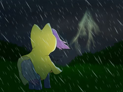 Size: 1600x1197 | Tagged: safe, artist:minimalistichipster, artist:rottenthemaker, imported from derpibooru, oc, oc only, pony, bush, clothes, cloud, cloudy, grass, lightning, outdoors, rain, raincoat, solo, storm, unknown pony, wind, windswept mane
