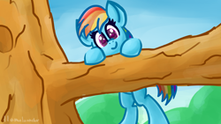 Size: 3840x2160 | Tagged: safe, artist:llamalauncher, imported from derpibooru, rainbow dash, pegasus, pony, behaving like a cat, cute, female, high res, solo, tree, tree branch
