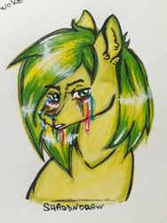 Size: 774x1032 | Tagged: safe, artist:shaddndraw, imported from derpibooru, oc, oc only, earth pony, pony, bust, crying, liquid rainbow, male, rainbow tears, solo, traditional art