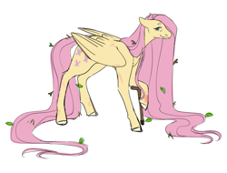 Size: 1280x973 | Tagged: safe, artist:spartalabouche, imported from derpibooru, fluttershy, pegasus, pony, cane, cutie mark, female, leaves, leaves in hair, scar, simple background, smiling, solo, twigs, white background, wings