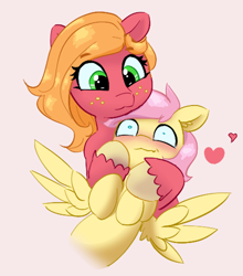 Size: 506x575 | Tagged: safe, artist:pabbley, color edit, edit, imported from derpibooru, big macintosh, fluttershy, earth pony, pegasus, pony, blushing, butterreina, butterscotch, colored, female, fluttermac, heart, holding, holding a pony, larger female, macareina, male, mare, rule 63, shipping, simple background, size difference, smaller male, smiling, spread wings, stallion, straight, wavy mouth, wingboner, wings