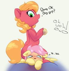 Size: 763x781 | Tagged: safe, artist:pabbley, color edit, edit, imported from derpibooru, big macintosh, fluttershy, earth pony, pegasus, pony, blushing, butt, butterreina, butterscotch, colored, dialogue, female, fluttermac, flutterseat, green background, larger female, macareina, male, mare, plot, rule 63, shipping, simple background, sitting, size difference, smaller male, stallion, straight, this will end in death by snu snu