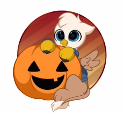 Size: 3670x3387 | Tagged: safe, artist:kittyrosie, imported from derpibooru, part of a set, oc, oc only, griffon, commission, cute, griffon oc, halloween, high res, holiday, ocbetes, pumpkin, solo, ych result