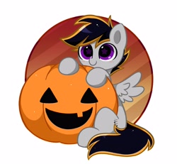 Size: 3670x3387 | Tagged: safe, artist:kittyrosie, imported from derpibooru, part of a set, oc, oc only, pegasus, pony, commission, cute, halloween, high res, holiday, ocbetes, pumpkin, solo, ych result