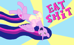 Size: 3000x1837 | Tagged: safe, artist:neccanon, twilight sparkle, alicorn, pony, the last problem, 4chan cup, princess twilight 2.0, text, twilight sparkle (alicorn), vulgar