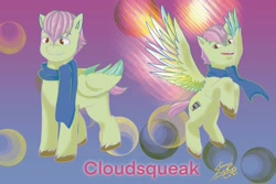 Size: 1772x1181 | Tagged: safe, artist:shacy's pagelings, imported from derpibooru, oc, oc only, oc:cloudsqueak, pegasus, pony, abstract background, clothes, colored hooves, colored wings, flying, original art, reference, scarf, standing, unshorn fetlocks, wings
