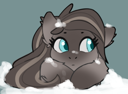 Size: 970x717 | Tagged: safe, artist:anonymous, oc, oc only, pony, ear fluff, female, mare, simple background, snow, snowfall, snowpony (species), solo, taiga pony