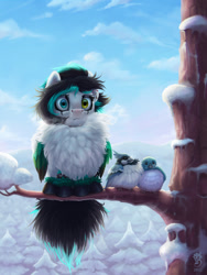 Size: 900x1200 | Tagged: safe, artist:gor1ck, imported from derpibooru, oc, oc only, oc:crystal payne, bird, pegasus, pony, behaving like a bird, chest fluff, cloud, cold, commission, ear piercing, fluffy, fluffy tail, heterochromia, in a tree, piercing, sky, snow, solo, tail, tree, tree branch, winter, winter coat, ych result