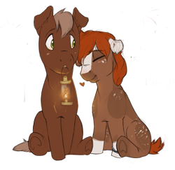 Size: 1103x1071 | Tagged: safe, artist:royvdhel-art, imported from derpibooru, oc, oc only, earth pony, pony, earth pony oc, eyes closed, female, lantern, male, mare, mouth hold, simple background, stallion, transparent background, underhoof