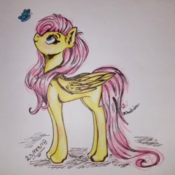 Size: 540x540 | Tagged: safe, artist:shaddndraw, imported from derpibooru, fluttershy, butterfly, pegasus, pony, female, solo, traditional art