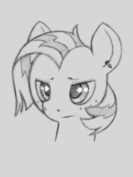 Size: 646x861 | Tagged: safe, artist:trickydick, imported from derpibooru, babs seed, earth pony, pony, bust, ear piercing, earring, female, filly, freckles, jewelry, monochrome, piercing, portrait, sketch, solo