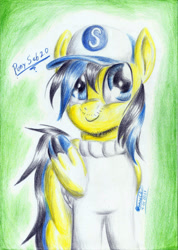 Size: 1659x2333 | Tagged: safe, artist:3500joel, imported from derpibooru, oc, oc only, pegasus, pony, baseball cap, cap, clothes, hat, male, pegasus oc, solo, traditional art