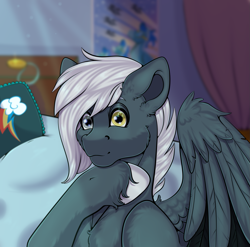 Size: 1575x1556 | Tagged: safe, artist:creed larsen, imported from derpibooru, oc, oc:tempest streamrider, pegasus, pony, fluffy, heterochromia, hoof shoes, looking at you, male, room, wings