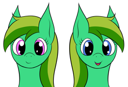 Size: 1843x1260 | Tagged: safe, artist:wapamario63, imported from ponybooru, oc, oc only, earth pony, pony, bust, cute, duo, female, looking at you, mare, open mouth, portrait, simple background, smiling, transparent background