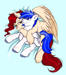 Size: 2476x2820 | Tagged: safe, artist:shamy-crist, imported from derpibooru, oc, oc only, pegasus, pony, female, high res, mare, plushie, solo