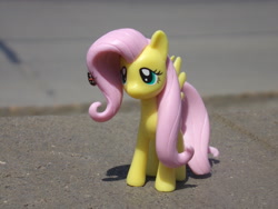 Size: 2048x1536 | Tagged: safe, artist:dingopatagonico, imported from derpibooru, fluttershy, insect, ladybug, pony, irl, photo, solo, toy