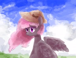Size: 1447x1102 | Tagged: safe, artist:laurasrxfgcc, imported from derpibooru, oc, oc only, pegasus, pony, blushing, cloud, day, female, hat, mare, outdoors, pegasus oc, sky, smiling, solo, wings