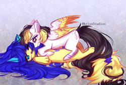 Size: 4900x3300 | Tagged: safe, artist:krissstudios, imported from derpibooru, oc, oc only, pegasus, pony, female, mare, plushie
