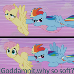 Size: 2317x2309 | Tagged: safe, artist:cozy cloud, derpibooru exclusive, edit, edited screencap, imported from derpibooru, screencap, fluttershy, rainbow dash, pegasus, pony, the super speedy cider squeezy 6000, caption, duo, female, flutterdash, high res, image macro, lesbian, multicolored hair, multicolored mane, multicolored tail, shipping, tail, text