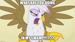 Size: 888x499 | Tagged: safe, edit, edited screencap, imported from derpibooru, screencap, gilda, griffon, griffon the brush off, season 1, angry, caption, female, image macro, meme, shrek, solo, spread wings, text, wings