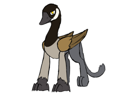 Size: 2600x2000 | Tagged: safe, artist:somber, imported from derpibooru, oc, oc only, oc:busker, bird, goose, griffon, griffon oc, high res, male, simple background, solo, transparent background