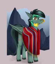 Size: 1700x2000 | Tagged: safe, artist:observerdoz, imported from derpibooru, oc, oc only, oc:target strike, pegasus, pony, clothes, ear piercing, earring, heterochromia, jewelry, male, mountain, mouth hold, partial background, piercing, poncho, solo