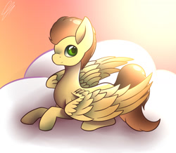 Size: 1548x1352 | Tagged: safe, artist:yanderecomet, imported from derpibooru, oc, oc only, pegasus, pony, cloud, lying down, male, pegasus oc, prone, solo