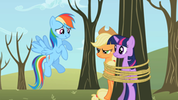 Size: 1280x720 | Tagged: safe, editor:rarity vrymer collective, imported from derpibooru, screencap, applejack, rainbow dash, twilight sparkle, earth pony, pegasus, pony, unicorn, season 2, secret of my excess, applejack is not amused, bondage, female, frown, multicolored hair, multicolored mane, multicolored tail, rope, rope bondage, scrunchy face, snickering, tail, tied up, trio, unamused, unicorn twilight