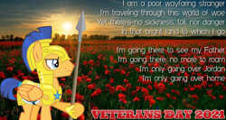 Size: 2064x1101 | Tagged: safe, artist:not-yet-a-brony, imported from derpibooru, flash sentry, pegasus, pony, 1917, armor, belgium, flanders fields, flower, lyrics, male, movie reference, poppy, remembrance day, royal guard armor, song reference, stallion, sunset, text, veterans day, world war i, youtube link, youtube link in the description