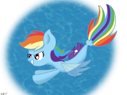 Size: 849x637 | Tagged: safe, artist:doct0rnop3, imported from derpibooru, rainbow dash, pegasus, seapony (g4), blue background, dorsal fin, female, fin wings, fins, fish tail, flowing tail, grin, ocean, pink eyes, seaponified, seapony rainbow dash, simple background, smiling, solo, species swap, swimming, tail, teeth, underwater, water, wings