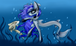Size: 3797x2317 | Tagged: safe, artist:beamybutt, imported from derpibooru, oc, oc only, original species, pony, shark, shark pony, duo, ear fluff, high res, underwater