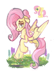 Size: 1200x1601 | Tagged: safe, artist:megalura, imported from derpibooru, fluttershy, pegasus, pony, chest fluff, female, floppy ears, looking at you, mare, partial background, raised hoof, reference, simple background, solo, spread wings, standing, white background, wings