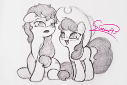 Size: 1024x683 | Tagged: safe, artist:sverre93, imported from derpibooru, apple bloom, applejack, earth pony, pony, applejack's hat, cowboy hat, female, filly, hat, mare, siblings, sisters