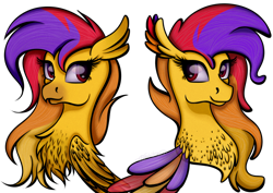 Size: 1024x727 | Tagged: safe, artist:victoria-luna, imported from derpibooru, oc, oc only, classical hippogriff, hippogriff, seapony (g4), beak, bust, chest fluff, eyelashes, feather, female, portrait, purple eyes, simple background, smiling, solo, transparent background, wings