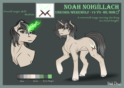 Size: 4093x2894 | Tagged: safe, artist:blackcloud2000, imported from derpibooru, oc, oc only, oc:noah noigillach, pony, unicorn, male, reference sheet, solo, stallion