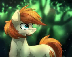 Size: 2000x1600 | Tagged: safe, artist:bakud, imported from derpibooru, oc, oc only, earth pony, pony, earth pony oc, female, forest, mare, outdoors, signature, solo