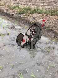 Size: 890x1198 | Tagged: safe, artist:lazerblues, imported from derpibooru, oc, oc only, oc:kitkat, earth pony, pony, cute, ear piercing, female, mud, piercing, smol, solo