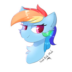 Size: 800x800 | Tagged: safe, artist:morningbullet, imported from derpibooru, rainbow dash, pony, cheek fluff, chest fluff, colored pupils, ear fluff, female, lidded eyes, mare, simple background, solo, white background