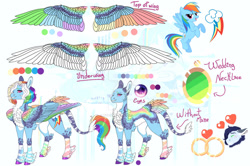 Size: 1280x850 | Tagged: safe, artist:malinraf1615, imported from derpibooru, rainbow dash, pony, alternate design, colored wings, multicolored wings, reference sheet, solo, wings