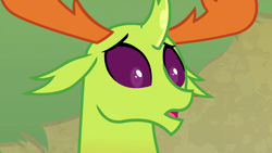 Size: 1280x720 | Tagged: safe, imported from derpibooru, screencap, thorax, changedling, changeling, season 7, triple threat, concerned, cute, king thorax, male, open mouth, reaction image, silent, solo, surprised, thorabetes