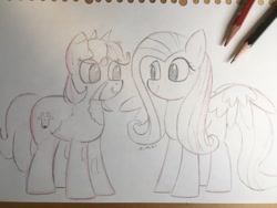 Size: 1048x786 | Tagged: safe, artist:huodx, imported from derpibooru, fluttershy, oc, oc:dotmare, earth pony, pegasus, pony, female, grayscale, looking at each other, looking at you, mare, monochrome, pencil, pencil drawing, traditional art