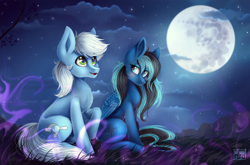 Size: 3458x2287 | Tagged: safe, artist:das_leben, imported from derpibooru, oc, oc:moonshine, oc:tracker, earth pony, pegasus, pony, admiring, blushing, cloud, cloudy, cute, duo, female, field, full moon, high res, male, moon, scenery