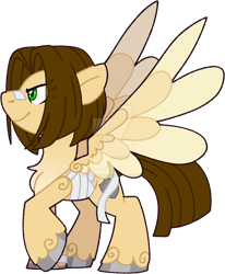 Size: 1280x1552 | Tagged: safe, artist:rohans-ponies, imported from derpibooru, oc, oc only, pegasus, pony, male, simple background, solo, stallion, transparent background