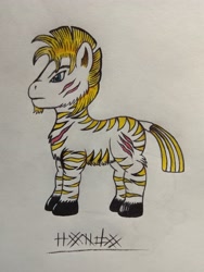 Size: 3120x4160 | Tagged: safe, artist:firehearttheinferno, imported from derpibooru, oc, oc:hondo, zebra, fallout equestria, black hooves, blonde, blonde hair, blonde mane, blue eyes, concept art, concept for a fanfic, ears, facial hair, fallout equestria oc, fallout equestria: equestria the beautiful, full body, goatee, gold striped zebra, hooves, ink drawing, mane, marker drawing, scar, stripes, tail, traditional art, zebra oc