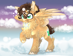 Size: 3685x2834 | Tagged: safe, artist:schokocream, imported from derpibooru, oc, oc only, pegasus, pony, chest fluff, cloud, commission, ear fluff, high res, on a cloud, pegasus oc, raised hoof, solo, ych result