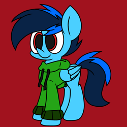 Size: 2344x2344 | Tagged: safe, artist:derpyalex2, imported from derpibooru, oc, oc only, oc:shy-fly, pegasus, pony, clothes, high res, hoodie, jacket, male, sweater