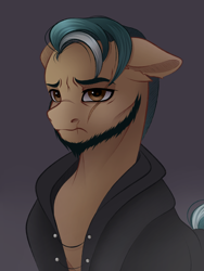 Size: 3015x4000 | Tagged: safe, artist:vetta, imported from derpibooru, hitch trailblazer, earth pony, pony, beard, clothes, eye scar, facial hair, g5, jacket, male, my little pony: a new generation, sad hitch, scar