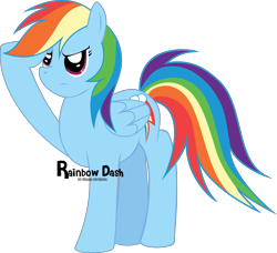 Size: 2204x2008 | Tagged: safe, artist:oobrushstrokeoo, imported from derpibooru, rainbow dash, pegasus, pony, backwards cutie mark, female, high res, salute, simple background, solo, transparent background