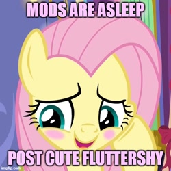 Size: 500x500 | Tagged: safe, edit, edited screencap, editor:thegamerpainter, imported from derpibooru, screencap, fluttershy, pegasus, pony, best gift ever, adorable face, blush sticker, blushing, cropped, cute, daaaaaaaaaaaw, female, hoof on cheek, mare, mods are asleep, mods are asleep post ponies, open mouth, open smile, shyabetes, smiling, solo